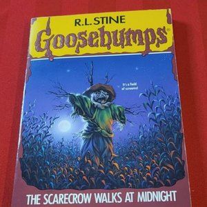 1994, THE SCARECROW WALKS AT MIDNIGHT BY R.L. STINE!!!